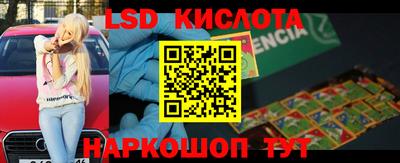 мдпв Новозыбков