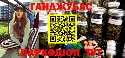 мдпв Новозыбков