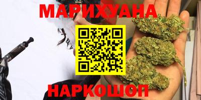 мдпв Новозыбков