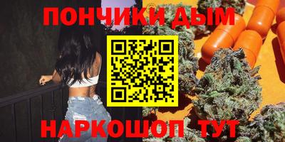 мдпв Новозыбков