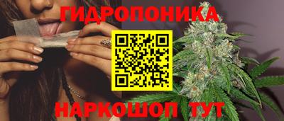 хмурый Новодвинск
