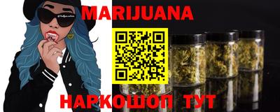 мдпв Новозыбков
