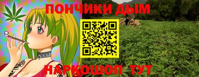 мдпв Новозыбков
