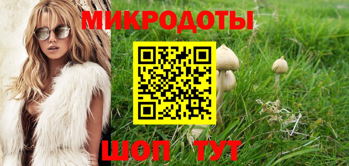 магазин продажи наркотиков  Галлюциногенные грибы Psilocybine cubensis  Вход с VPN  Сызрань  Галлюциногенные грибы мухоморы 